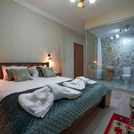 호텔 Pigeonvalleyhotel 네브셰히르